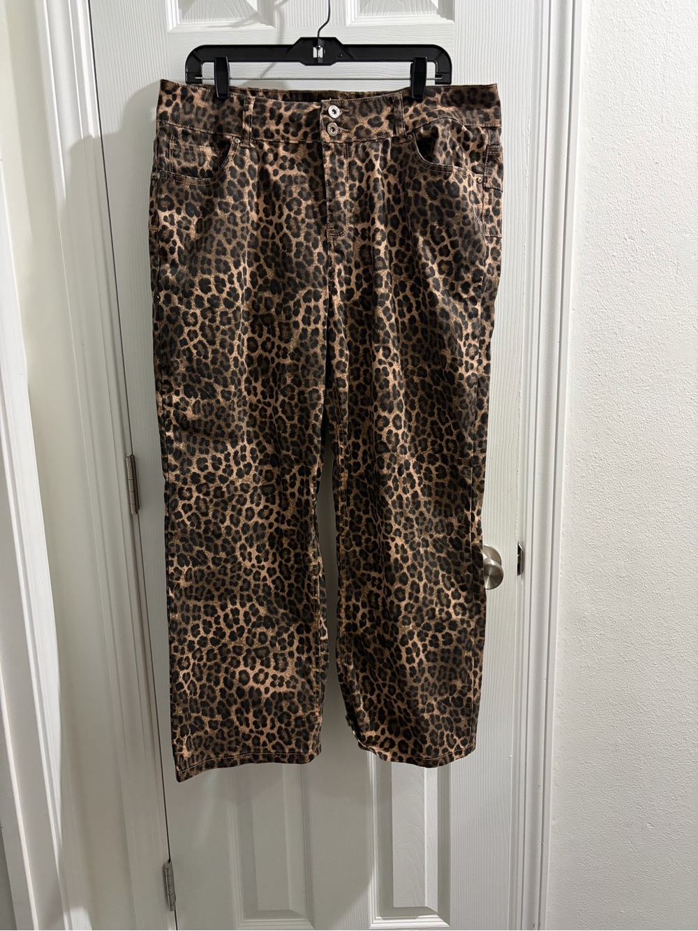 Blue Savvy Leopard Print Pants - Brown & Black
